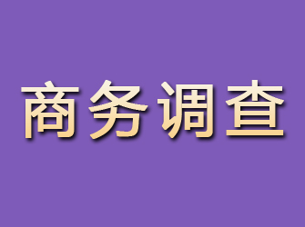 武清商务调查