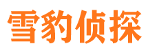 武清市婚外情调查